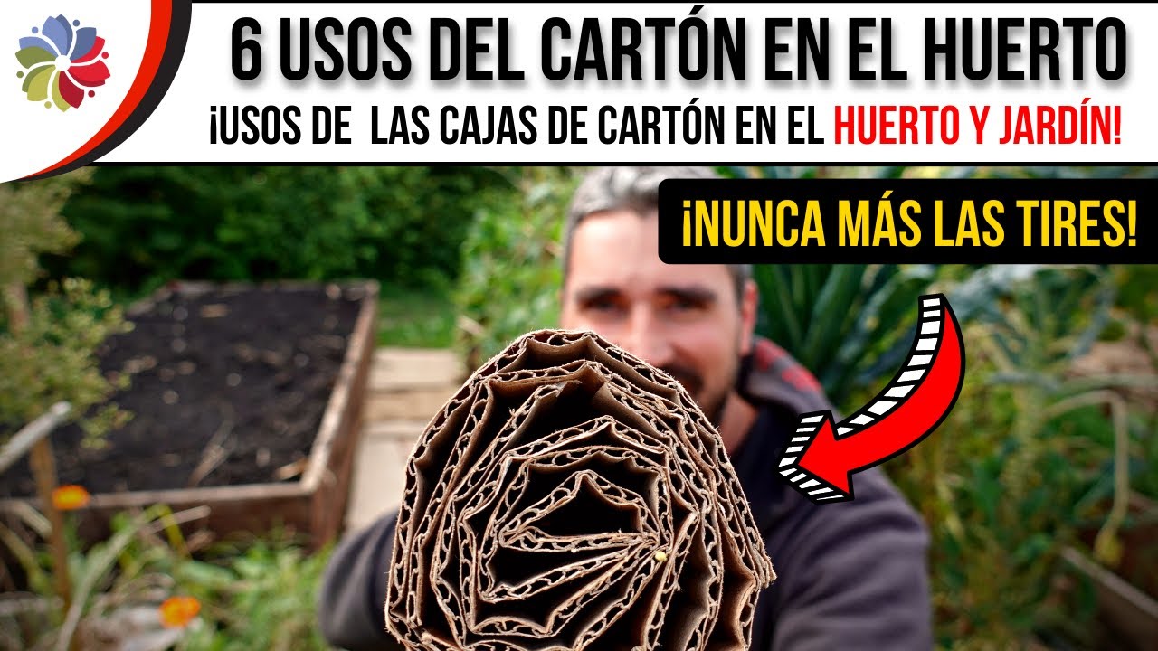 Precargar imagen