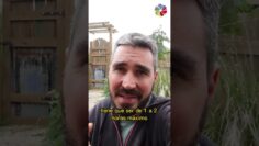 Privado: [ID: fD9VTZeQIqE] Youtube Automatic