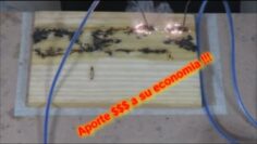 Privado: [ID: kztEL44B2B4] Youtube Automatic
