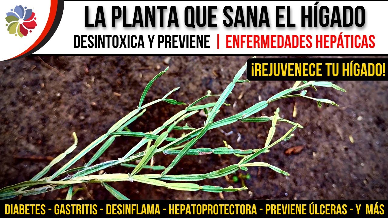 Precargar imagen
