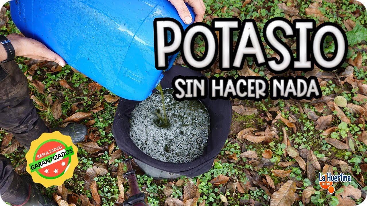 Precargar imagen