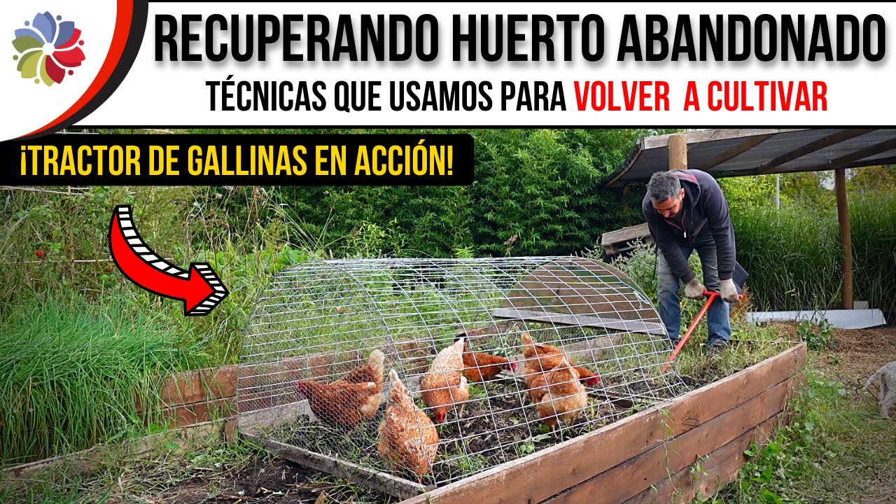 Precargar imagen