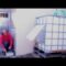 Privado: [ID: xEubrbibs9U] Youtube Automatic