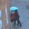 [ID: 0XblF1oReMw] Youtube Automatic