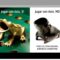 [ID: 7J-4MObxows] Youtube Automatic