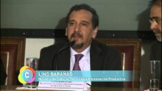 [ID: 9P2cY5cZf8o] Youtube Automatic