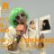 [ID: geFklhB9nhM] Youtube Automatic