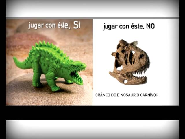 Precargar imagen