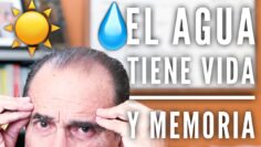 Privado: [ID: 7gh88o7-T6k] Youtube Automatic