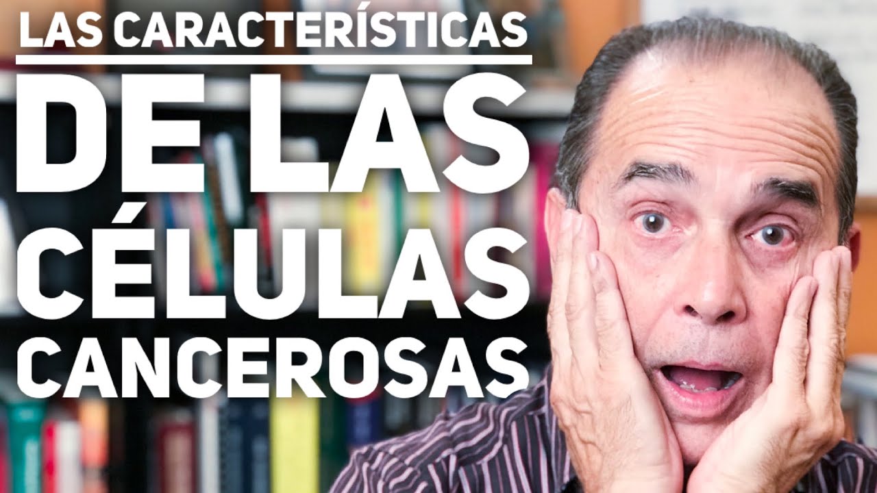 Precargar imagen