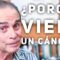 Privado: [ID: LzwPDAnLEEE] Youtube Automatic