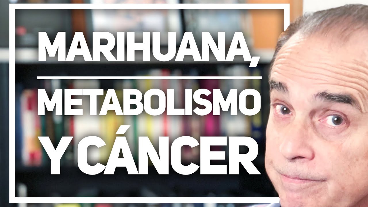 Precargar imagen