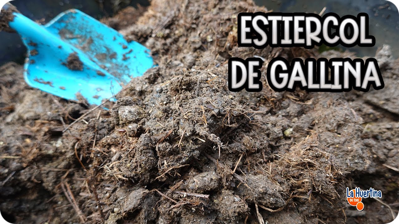 Precargar imagen