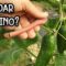 Privado: [ID: 7KRU70DeKPc] Youtube Automatic