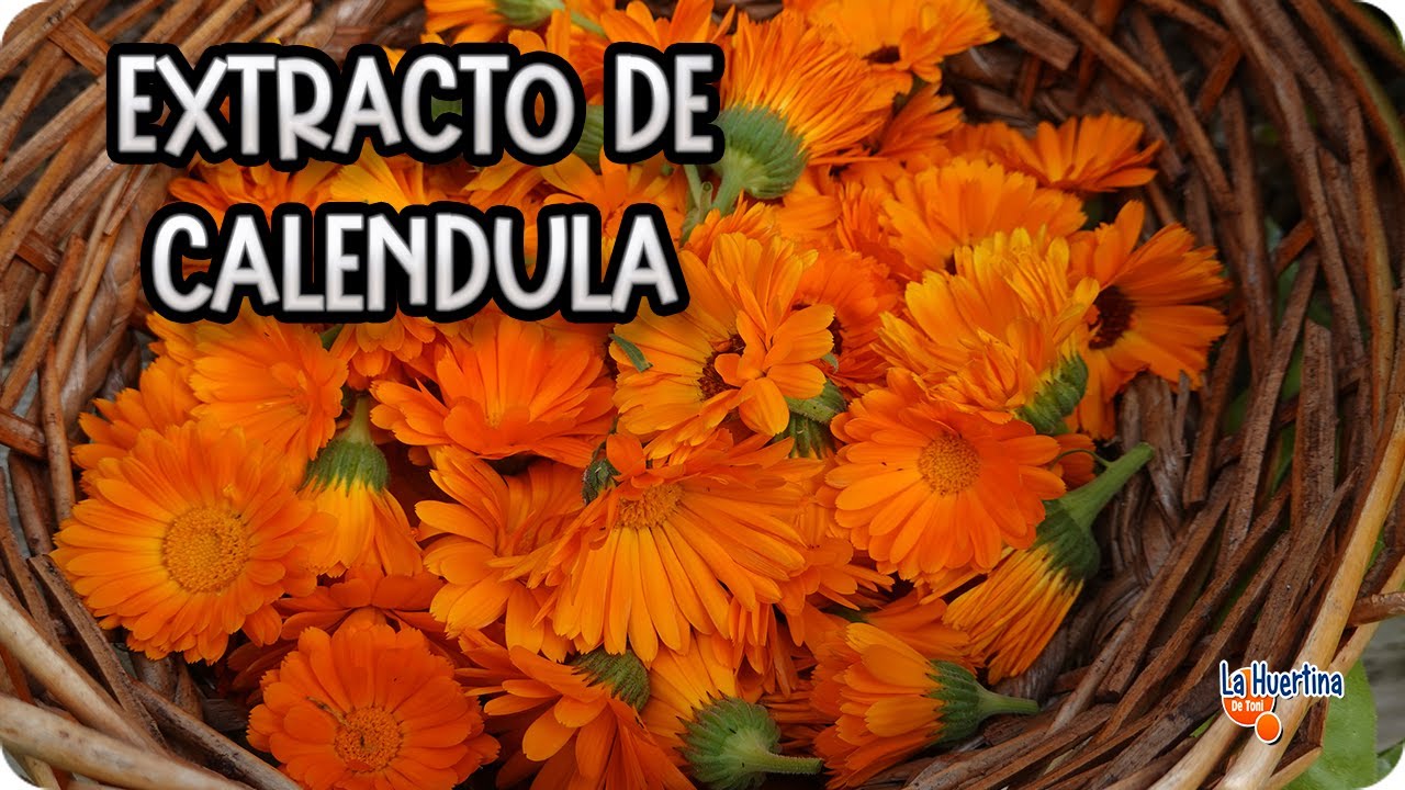 Precargar imagen