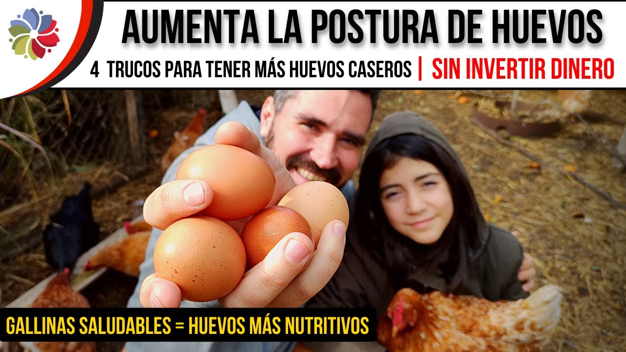 Precargar imagen
