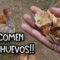 Privado: [ID: enziEzywIJQ] Youtube Automatic
