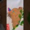 Privado: [ID: jeuAWQovgYI] Youtube Automatic