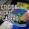 Privado: [ID: TQMMmdn-kKQ] Youtube Automatic