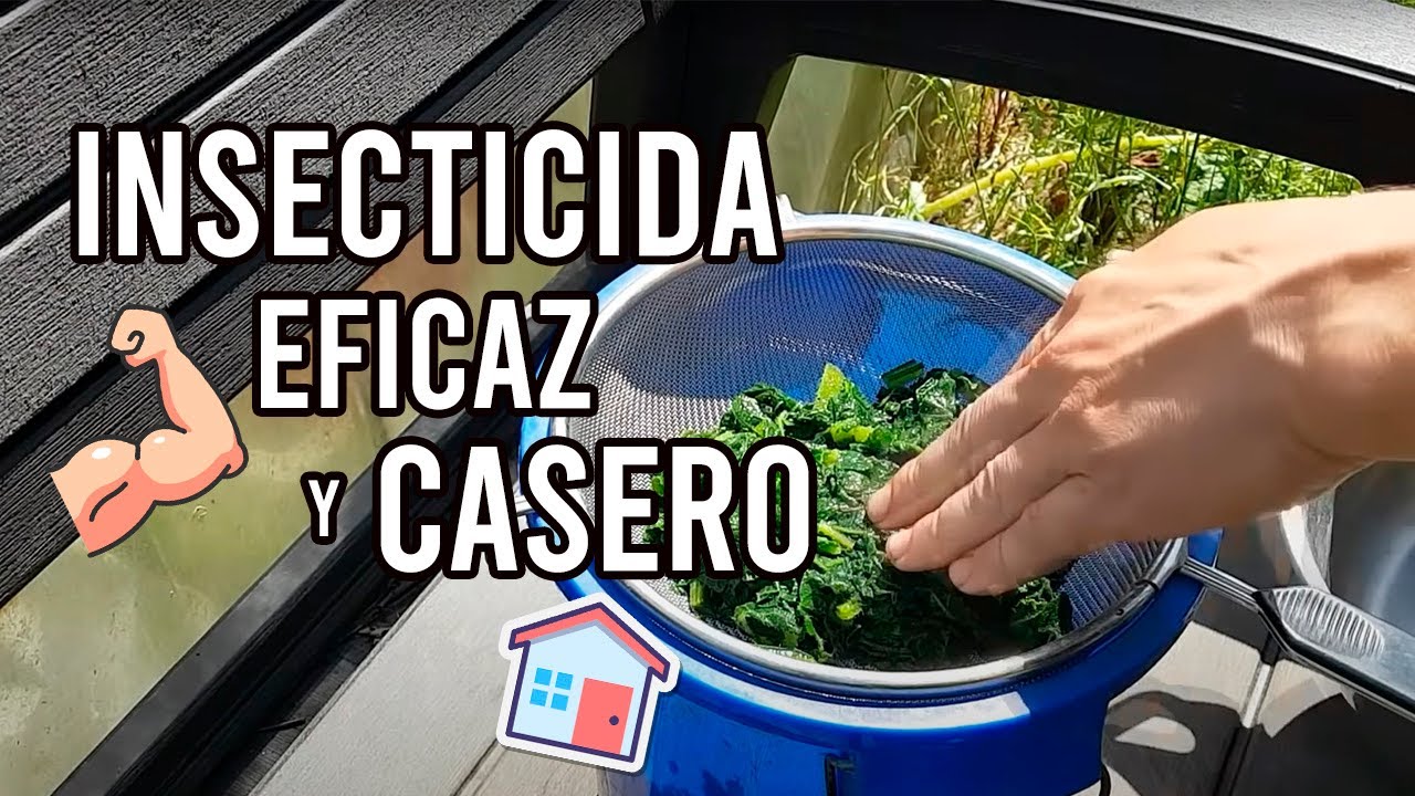 Precargar imagen