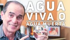 Privado: [ID: 4XS1ZHLTwj4] Youtube Automatic