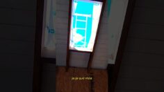Privado: [ID: GS-cmW-4vMg] Youtube Automatic