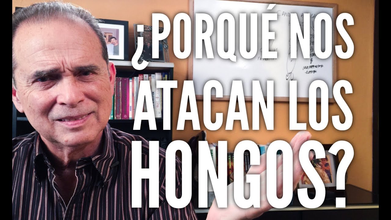 Precargar imagen