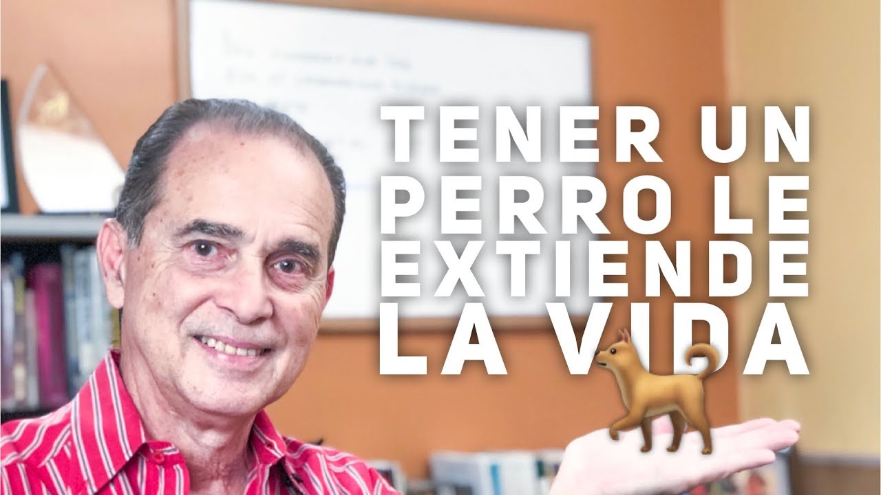 Precargar imagen