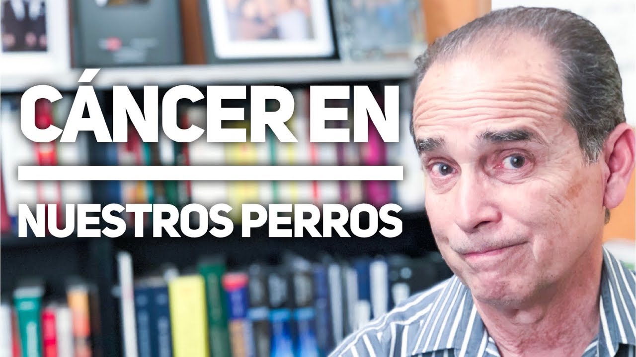 Precargar imagen