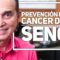 Privado: [ID: XQm1Ya6EDkA] Youtube Automatic
