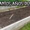 Privado: [ID: yebCTJmnR04] Youtube Automatic