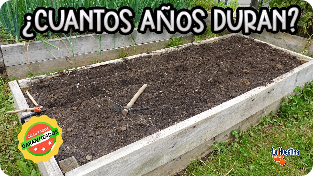 Precargar imagen