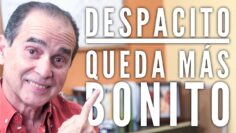 Privado: [ID: YU_lkfcqjoQ] Youtube Automatic