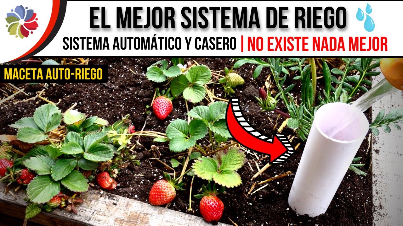 Precargar imagen