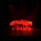 [ID: WYWFn_TtIX4] Youtube Automatic