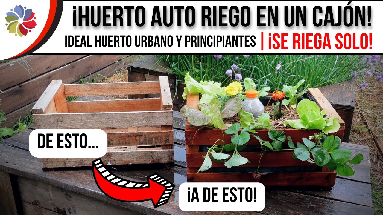 Precargar imagen