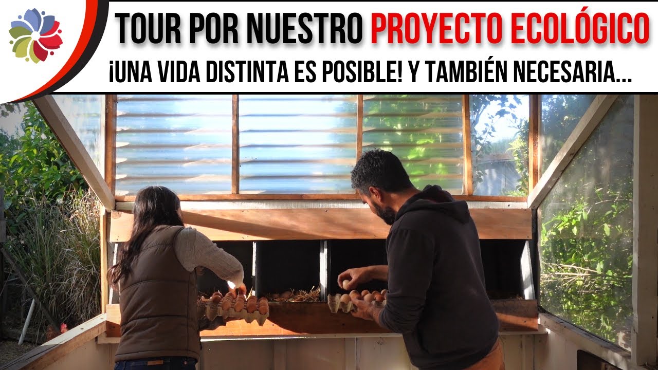 Precargar imagen