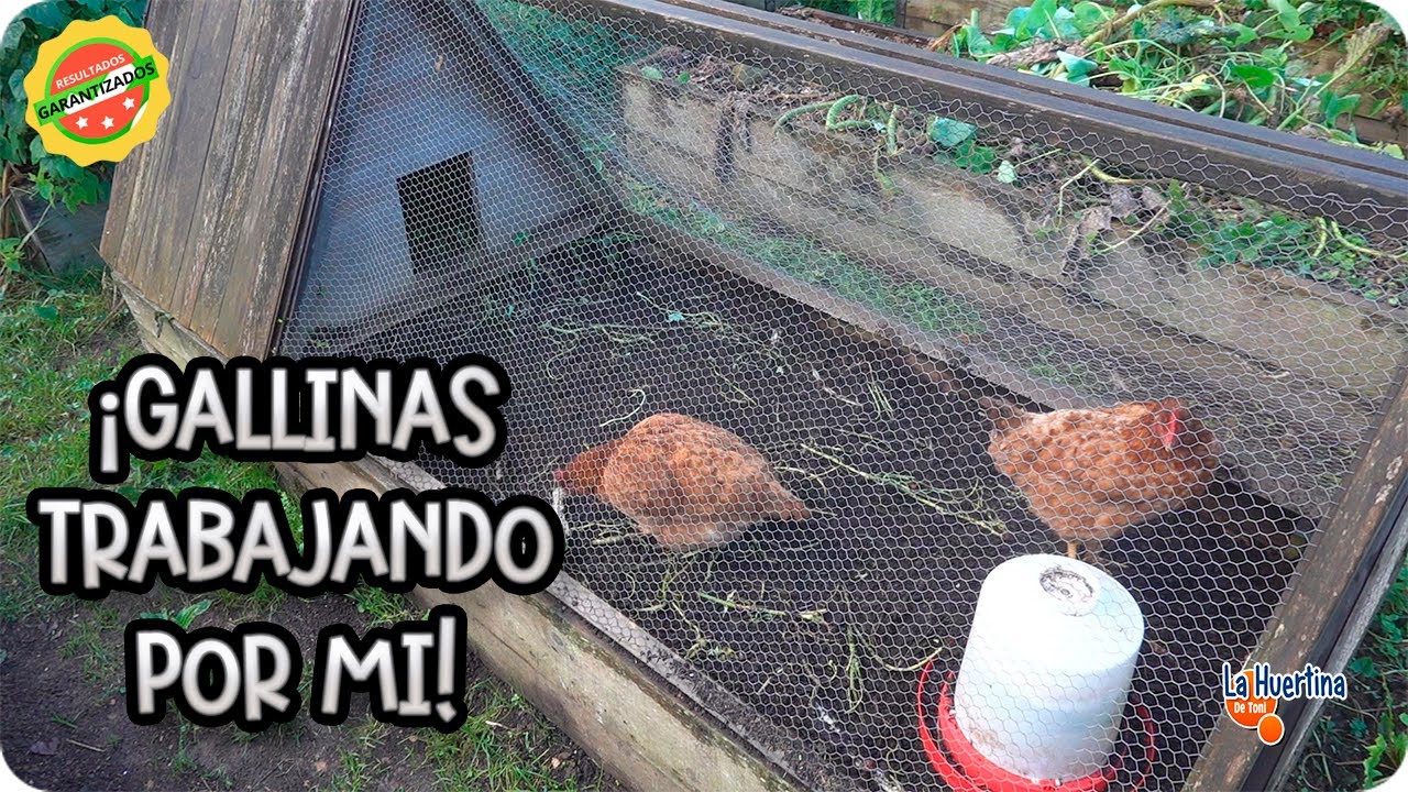 Precargar imagen