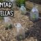 Privado: [ID: gaveeS3jgr8] Youtube Automatic