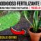 Privado: [ID: iCk0NNB7izE] Youtube Automatic