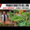 Privado: [ID: lYb4oO5ZR6Y] Youtube Automatic