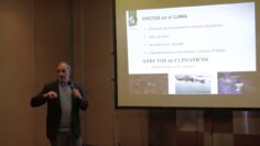 [ID: C8oGuOAYN-o] Youtube Automatic