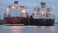 [ID: E1LG4FbDp7c] Youtube Automatic