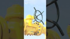 [ID: NcEj7aRE0e8] Youtube Automatic