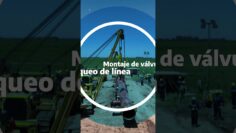 [ID: vwbwVx68xCU] Youtube Automatic