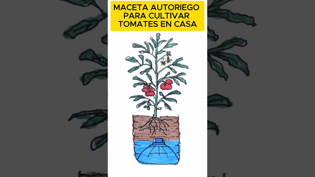 Precargar imagen