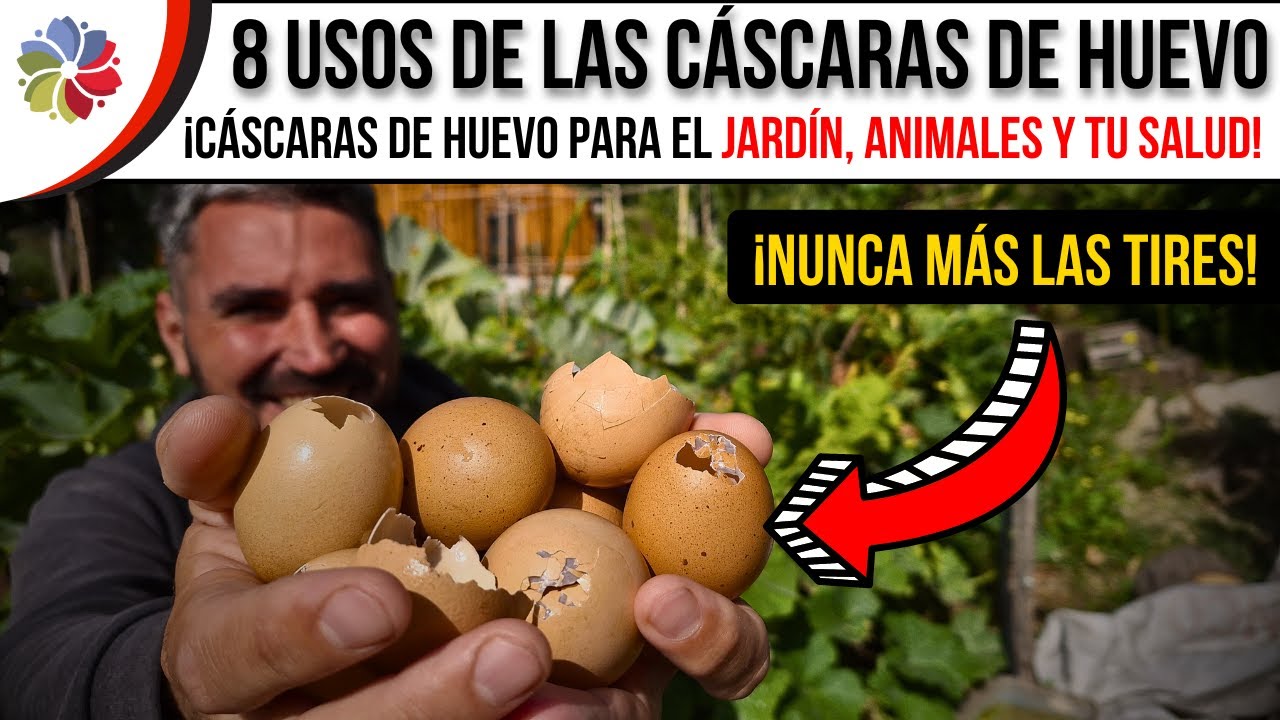 Precargar imagen