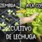 Privado: [ID: L7RqRQMtS3k] Youtube Automatic