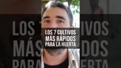 Privado: [ID: lmouPchJi5M] Youtube Automatic