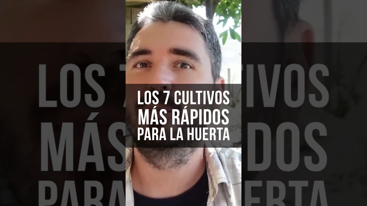 Precargar imagen